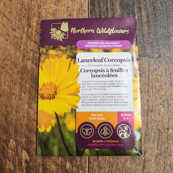 Coreopsis 'Lanceleaf' (Coreopsis lanceolata)