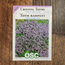Creeping Thyme