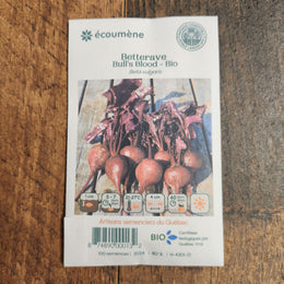 Organic 'Bull's Blood' Beetroot