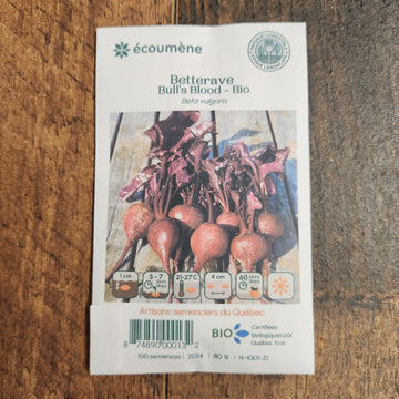 Organic 'Bull's Blood' Beetroot
