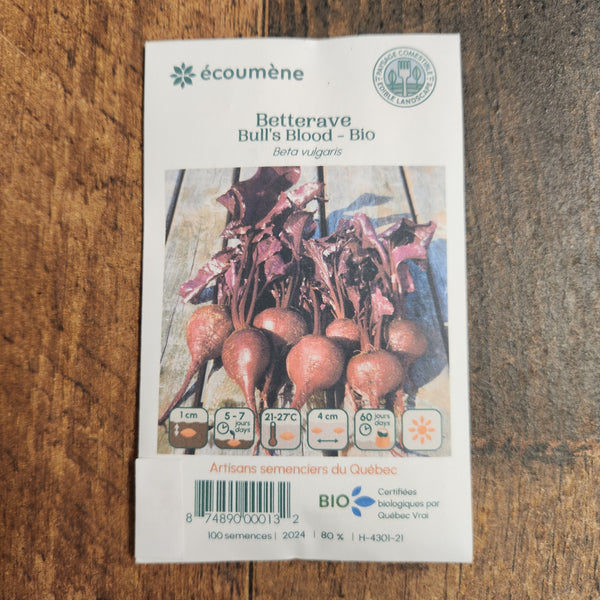 Organic 'Bull's Blood' Beetroot