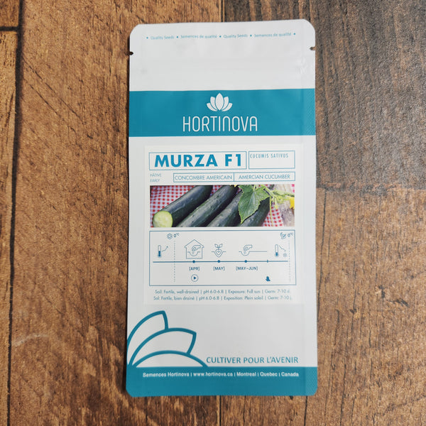 Cucumber 'Murza' F1