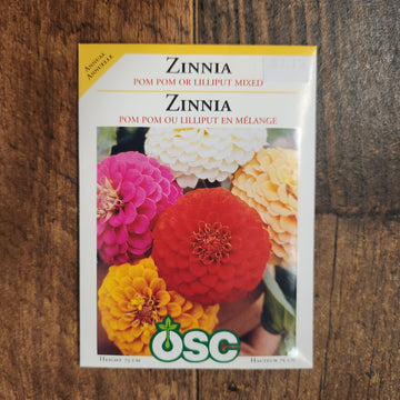 Mélange de zinnia 'Pom Pom ou Lilliput'