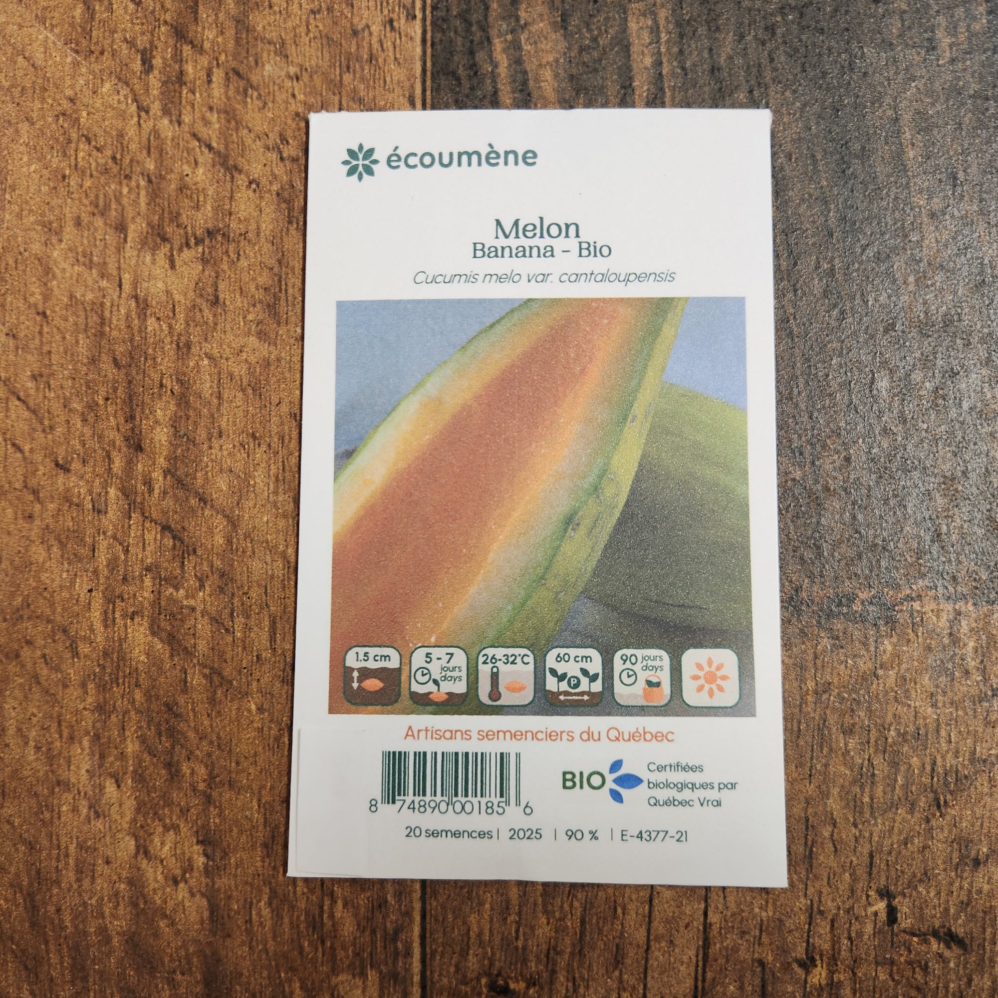 Sachet de semences Melon Banana. Emballage blanc photographié de face sur un fond de bois brun. Une image du végétal occupe la partie centrale, sous le nom imprimé. De petits pictogrammes et un code-barres apparaissent au bas du sachet. La marque Écoumène figure dans la partie supérieure de cette présentation.