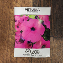 Pétunia cascade 'Pink'