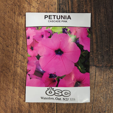 Petunia 'Cascade Pink'