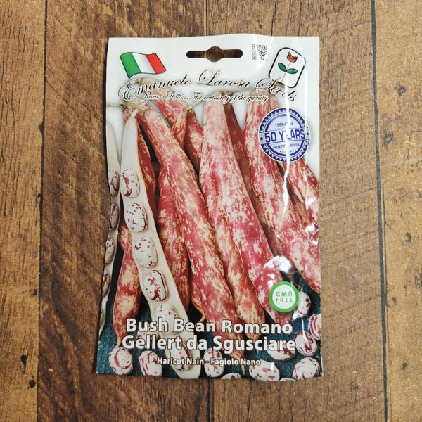 Bush bean 'Romano Gellert'