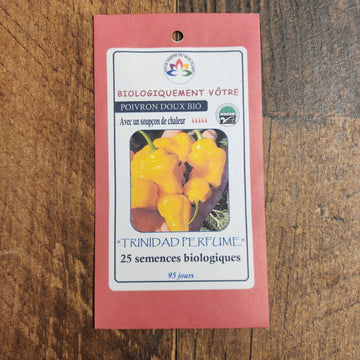 Poivron jaune 'Trinidad Perfume' bio