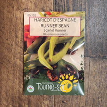 Organic Scarlet Runner Bean