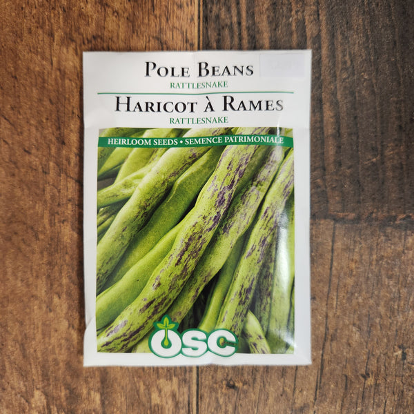 Pole Bean 'Rattlesnake'