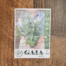 Eucalyptus 'Baby Blue Bouquet' bio