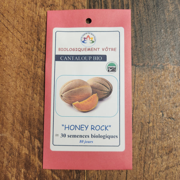 Organic Cantaloupe 'Honey Rock'