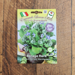 Bourrache officinale