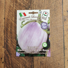 Eggplant 'Bianca Sfumata Di Rosa'