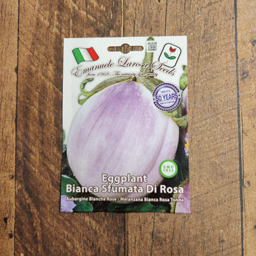 Aubergine 'Bianca Sfumata Di Rosa'