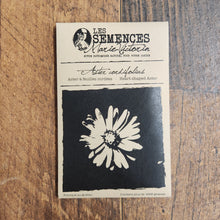 Aster à feuilles cordées