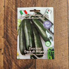 Zuchinni 'Nero di Milano'