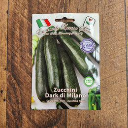 Zuchinni 'Nero di Milano'
