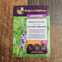 Hoary Vervain