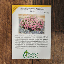 Pétunia Shock Wave 'Pink'