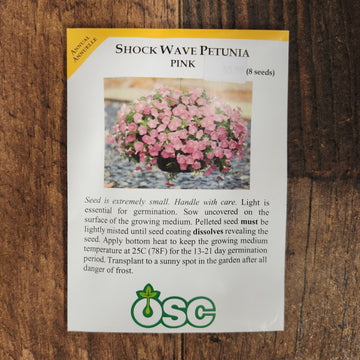 Petunia 'Shock Wave Pink'