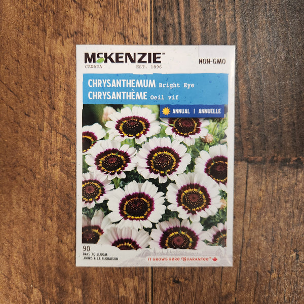 Chrysanthemum 'Bright Eye'