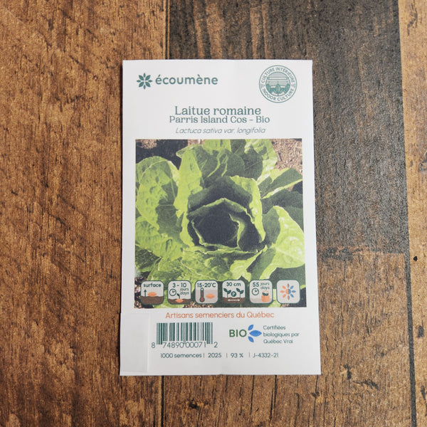 Organic Romaine Lettuce 'Parris Island Cos'
