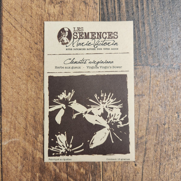 Virginia Virgin’s Bower