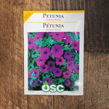 Pétunia Wave 'Purple'