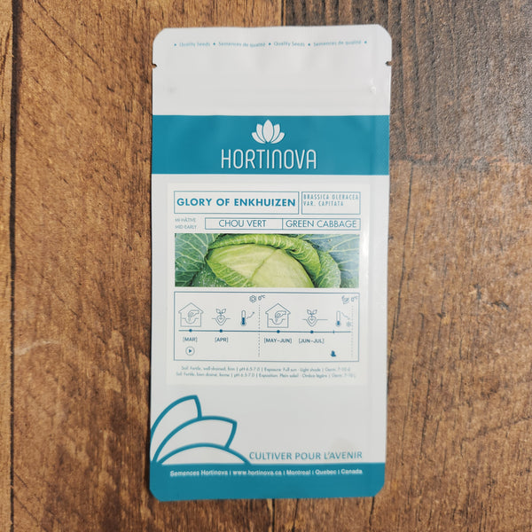 Cabbage 'Glory of enkhuizen'