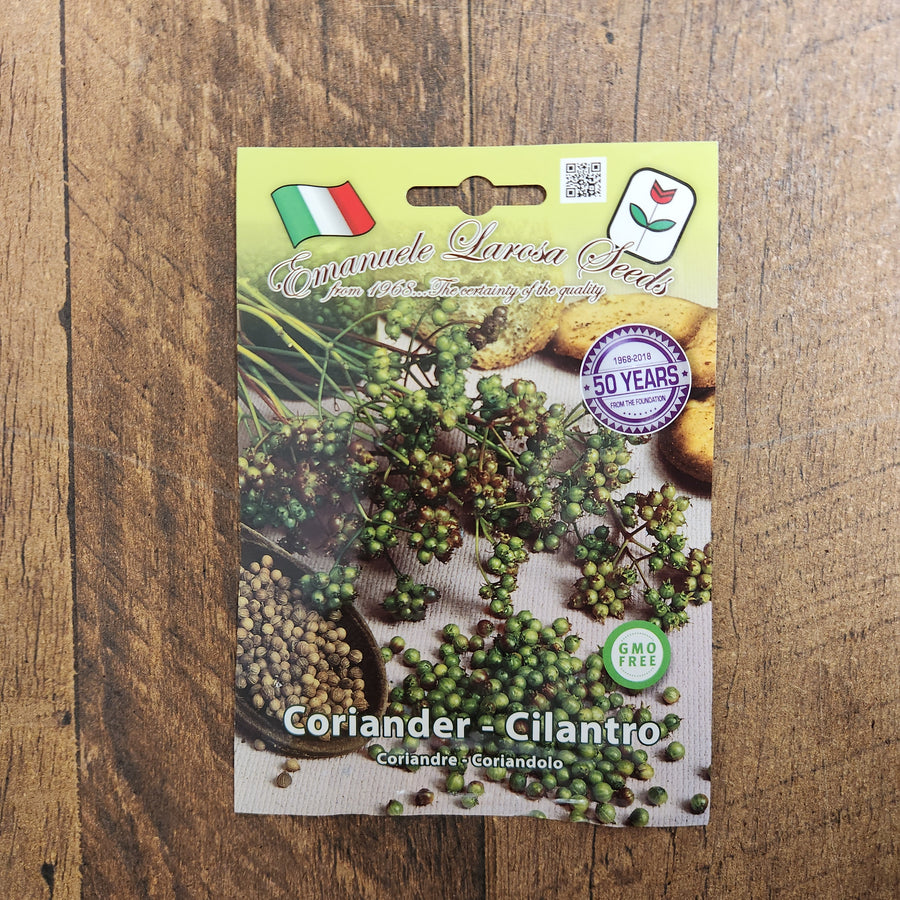Coriander