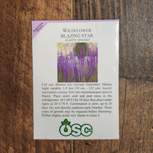 Blazing Star (Liatris spicata)