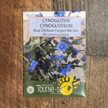 Cynoglossum 'Blue Chinese Forget-Me-Not' bio