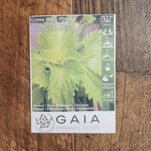 Shiso Green (Perilla) organic