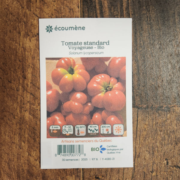 Tomate ‘Voyageuse’ bio