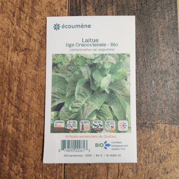 Organic Asparagus Stem Lettuce 'Cracoviensis'