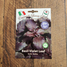 Purple Basil
