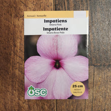 Impatiens 'Imara XDR Rose'