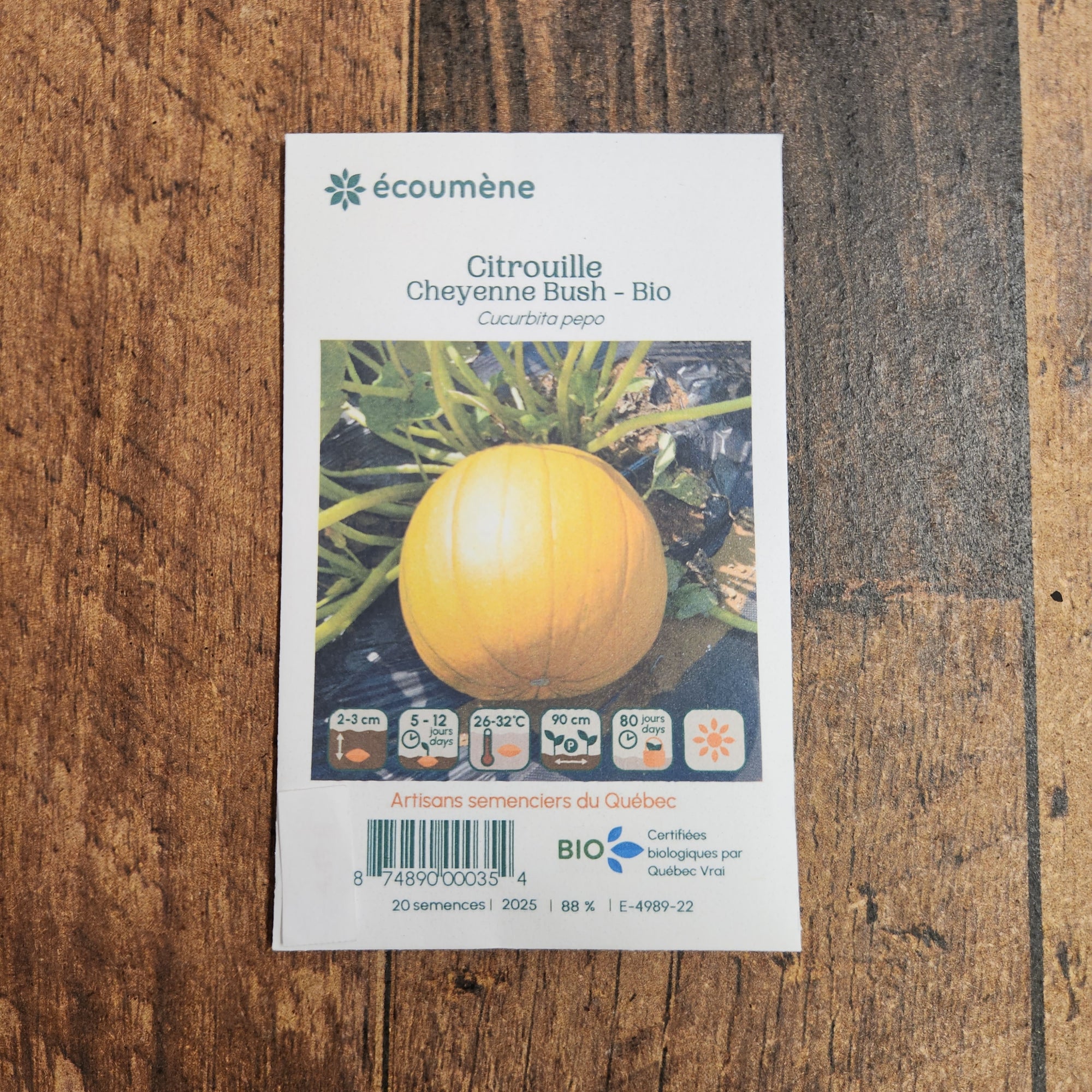 Organic 'Cheyenne Bush' Pumpkin