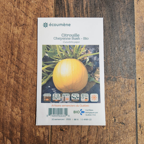 Organic 'Cheyenne Bush' Pumpkin