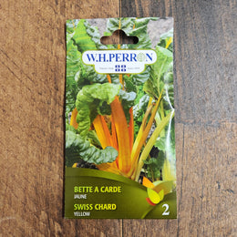 Yellow Swiss chard