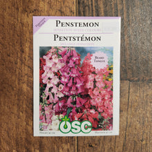 Penstémon 'Sensation Mixed Colours'