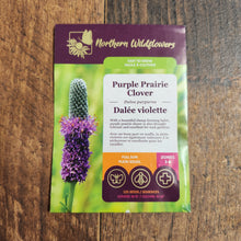 Dalée Violette
