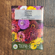 Mélange de zinnias bio