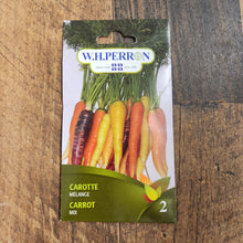 Mélange de carottes de couleurs