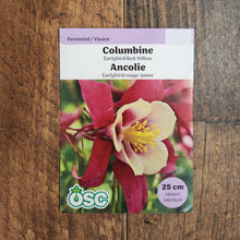 Columbine Earlybird Red and Yellow