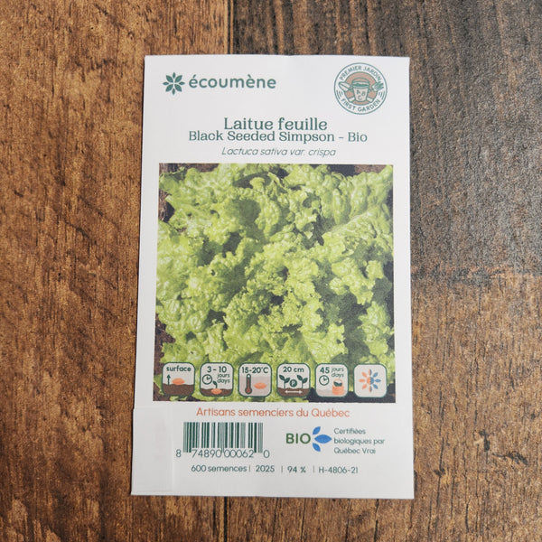 Simpson's 'Black Seeded' Leaf Lettuce Organic