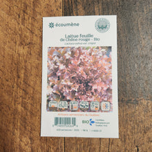 Organic Red Oak Leaf Lettuce