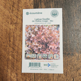 Organic Red Oak Leaf Lettuce