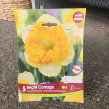 Narcisse Bright Corsage